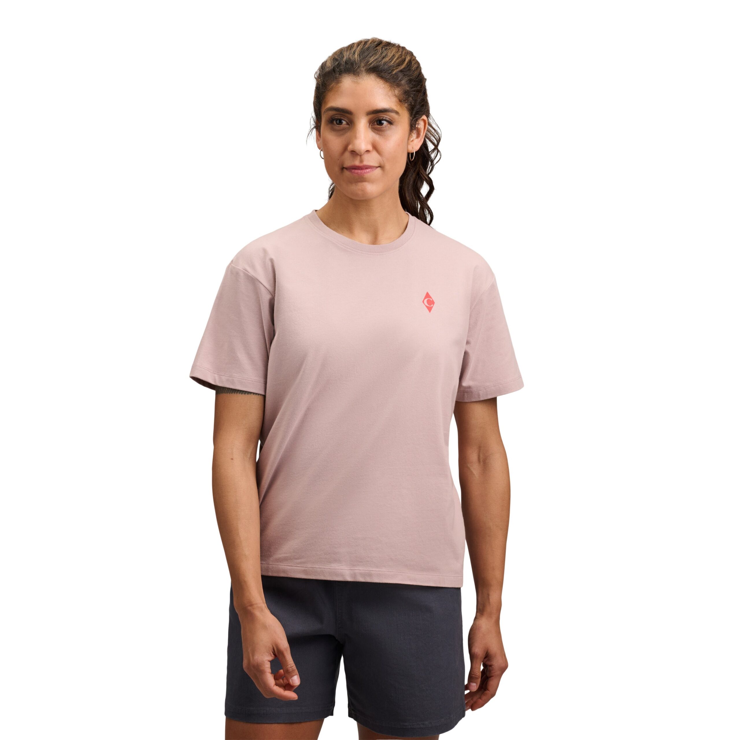 723072_5019_W_BD_Dragon_Short_Sleeve_Tee_Pale_Mauve_03